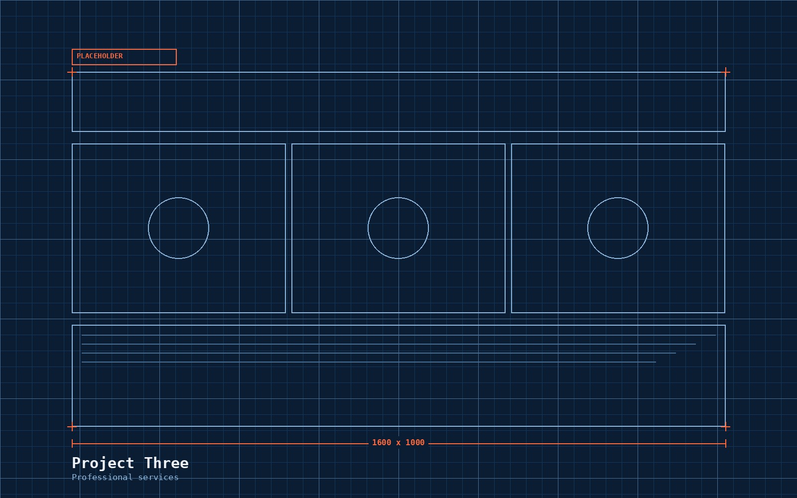 Placeholder screenshot for Project Three, a professional services site — replace with a real screenshot